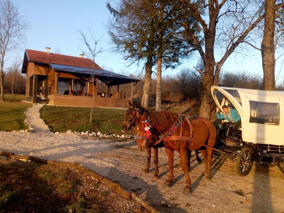 Evergreen House Plitvice Rakovica Exteriér fotografie